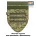 Напашник тактический "Барьер". Класс защиты Бр 1. 